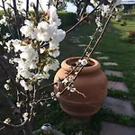Del Conte Apartament