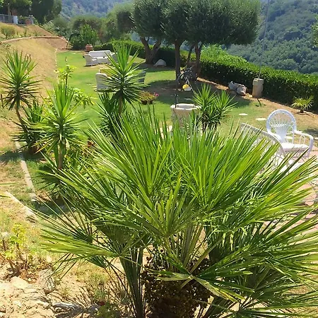 Apartment Del Conte Drapia