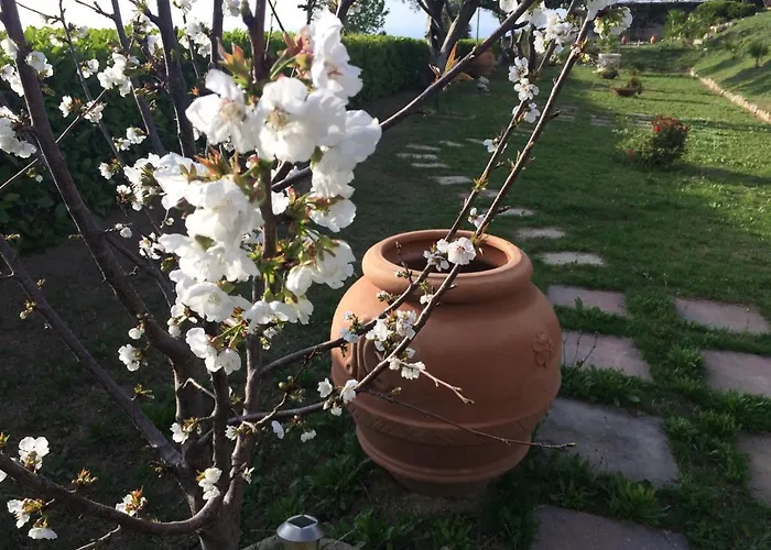 Del Conte Apartament