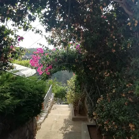 Apartman Del Conte *