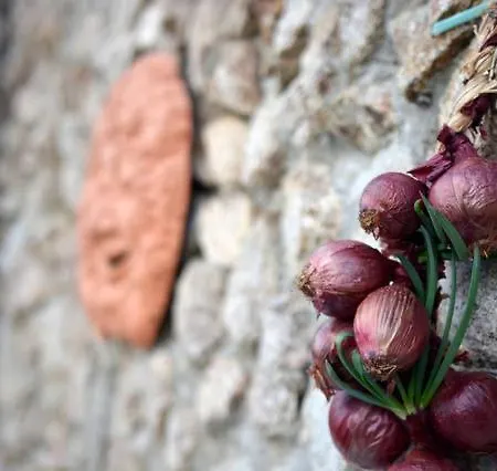 Apartman Del Conte *