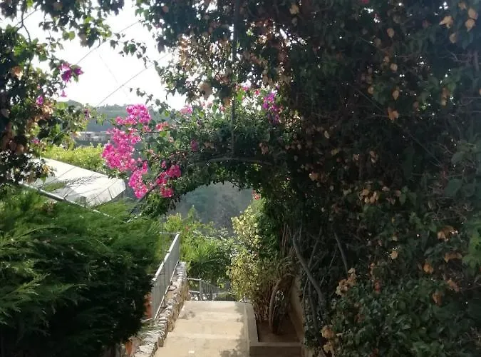 דירה Del Conte *