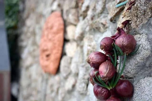 Lägenhet Del Conte *